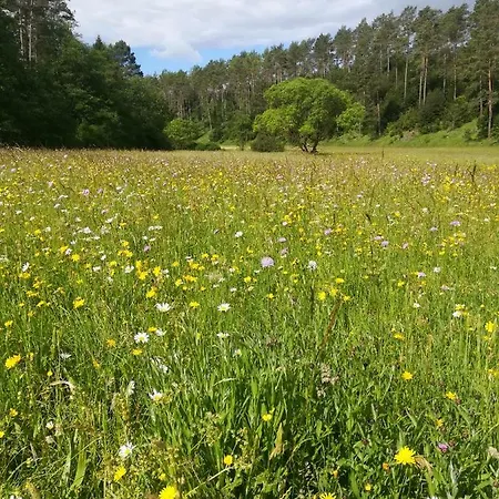 Elsbeere Apartamento Blankenheim (North Rhine-Westphalia)