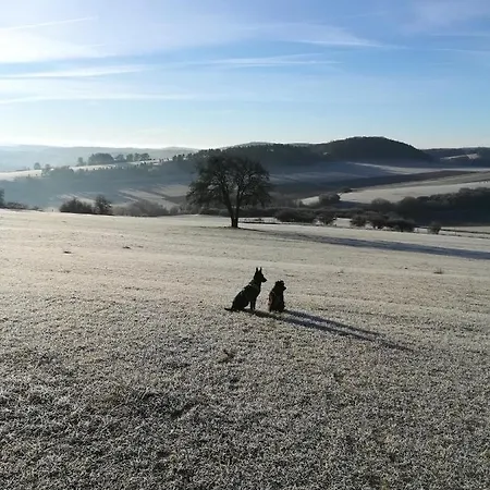 Elsbeere * Blankenheim