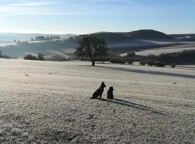 Elsbeere * Blankenheim (North Rhine-Westphalia)